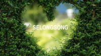 Selongsong