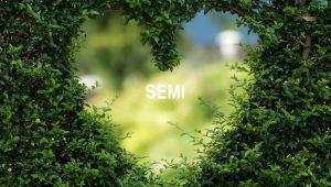 Arti Semi