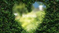 Senteng
