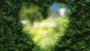 Sentiong