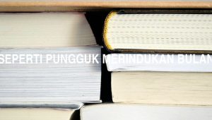 Arti Seperti Pungguk Merindukan Bulan