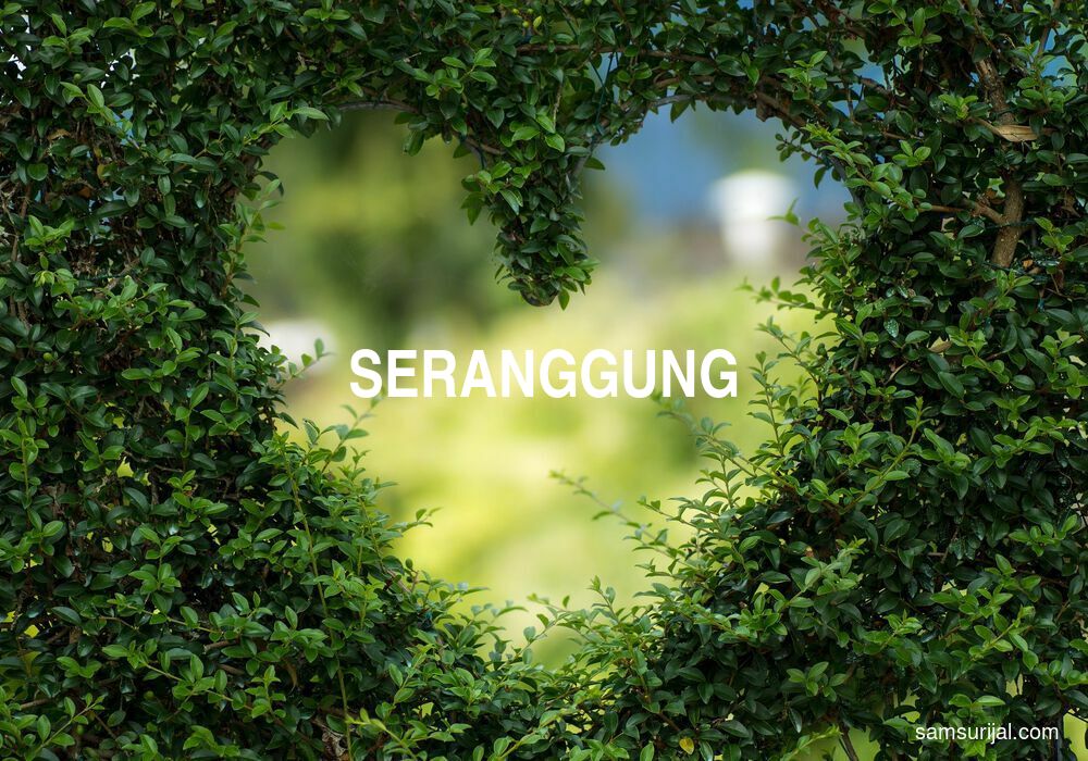 Arti Seranggung