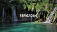 Serigading