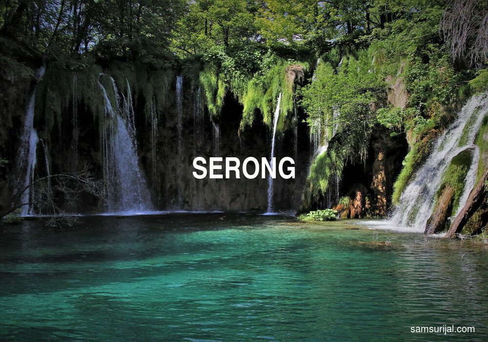 Arti Serong