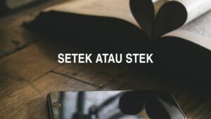 Setek atau Stek