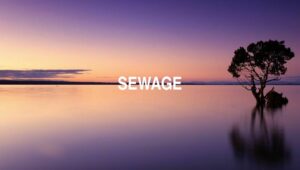 Arti Sewage
