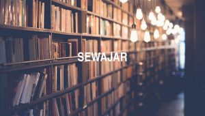 Arti Sewajar