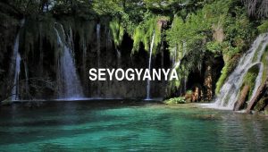 Arti Seyogyanya