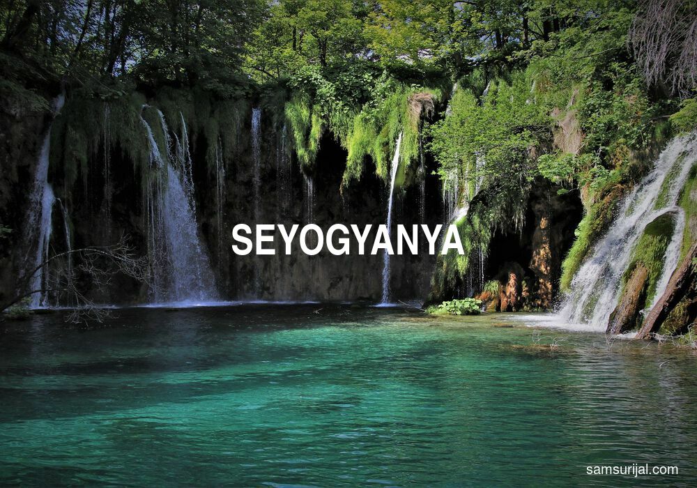 Arti Seyogyanya