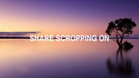 Share Scropping On