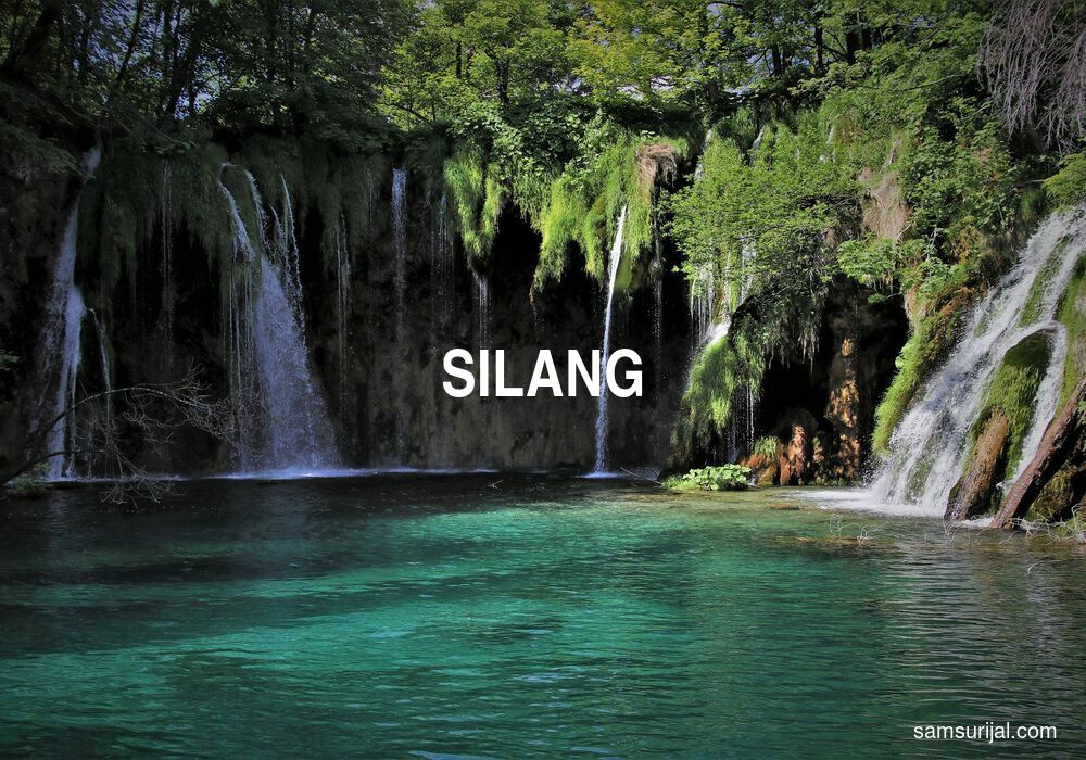 Arti Silang