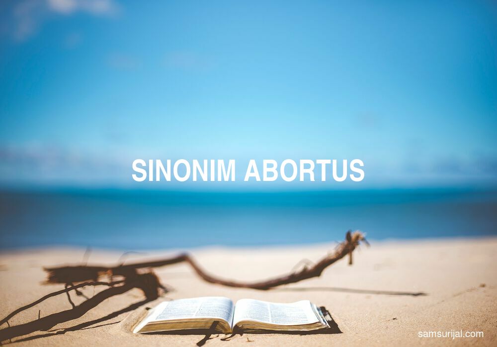 Sinonim Abortus