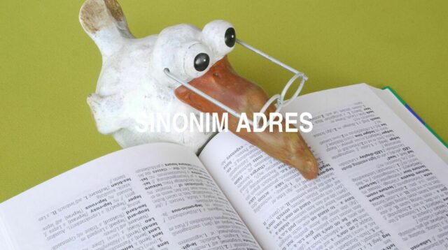 Sinonim Adres