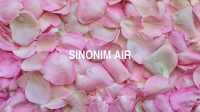 Sinonim Air