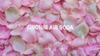 Sinonim Air Soda