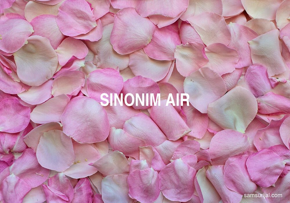 Sinonim Air