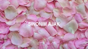 Sinonim Ajak