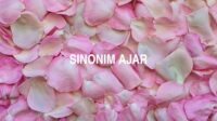 Sinonim Ajar