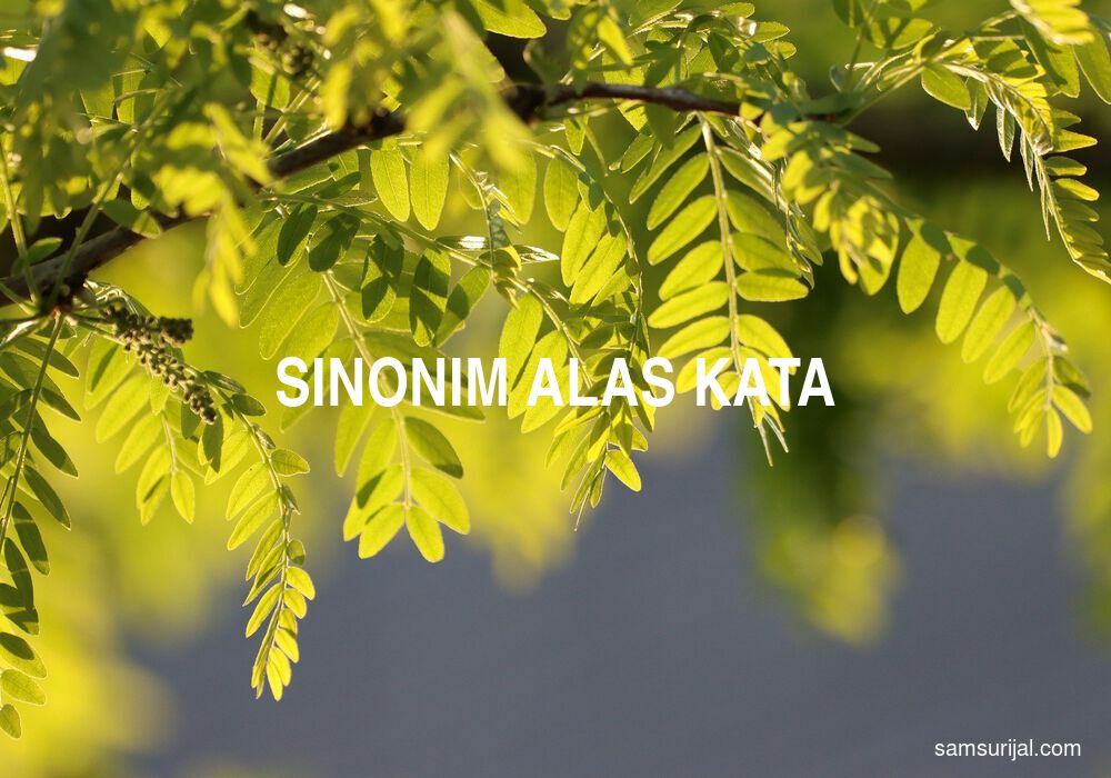 Sinonim Alas Kata