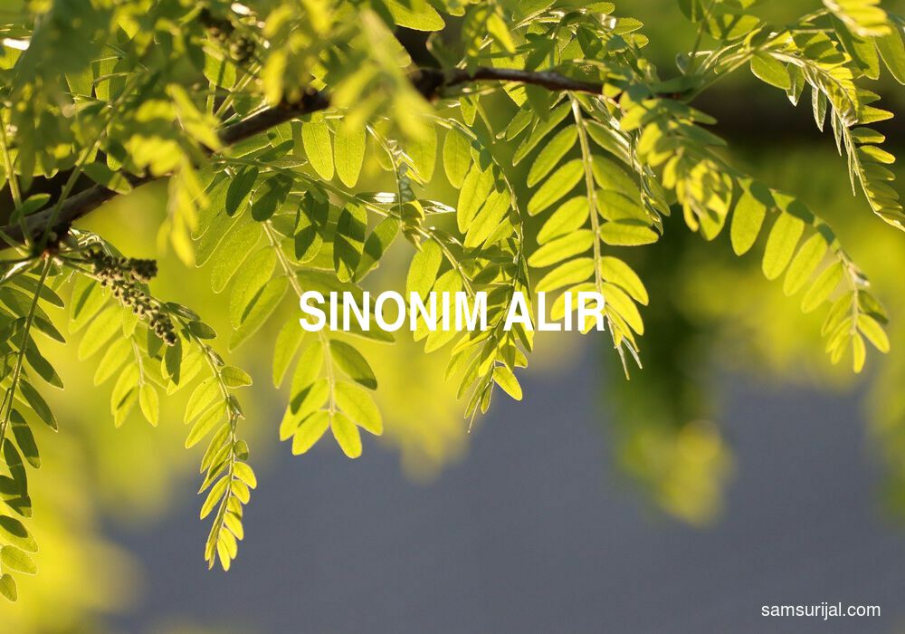 Sinonim Alir