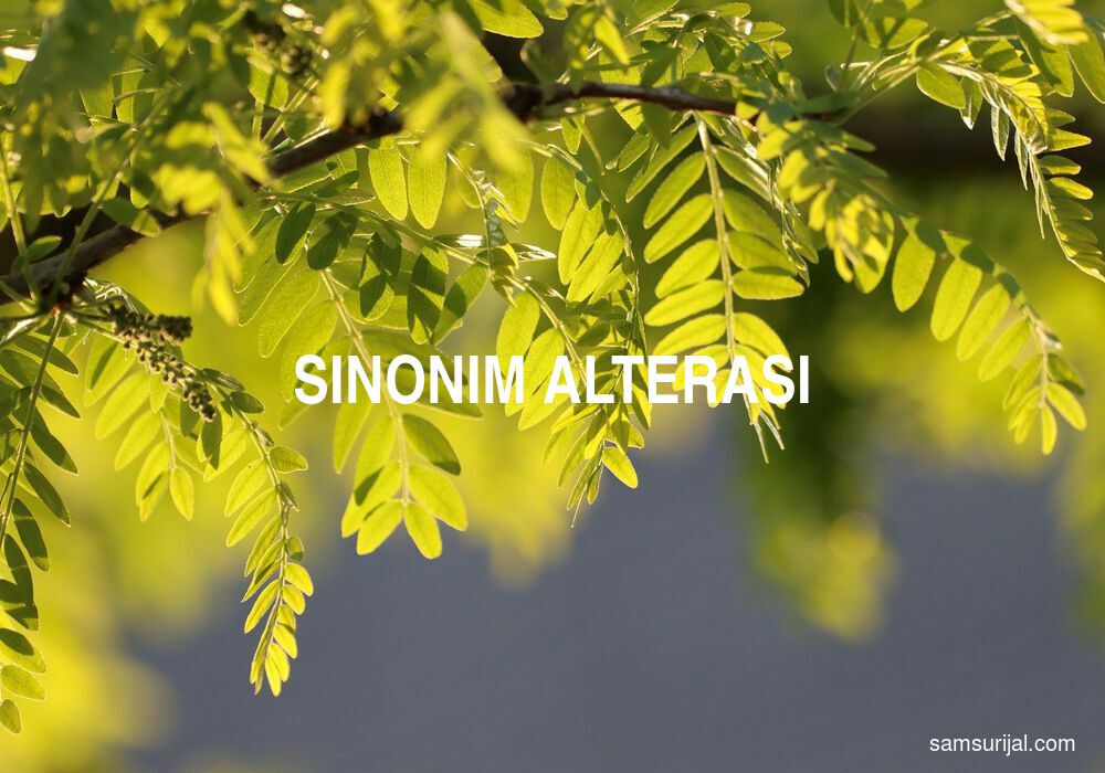 Sinonim Alterasi