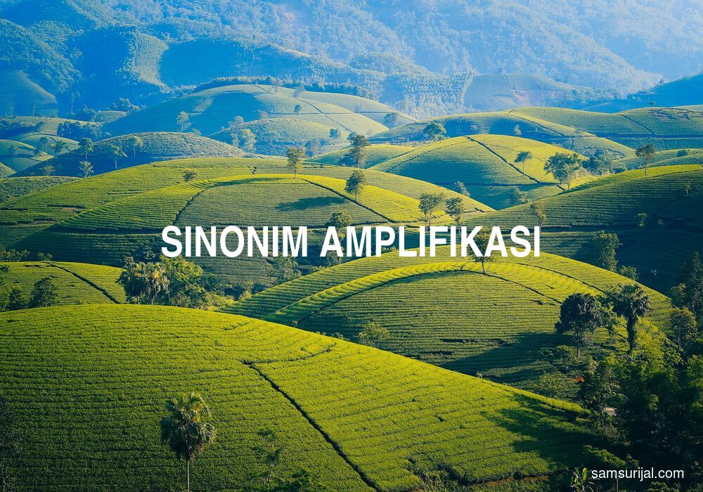 Sinonim Amplifikasi