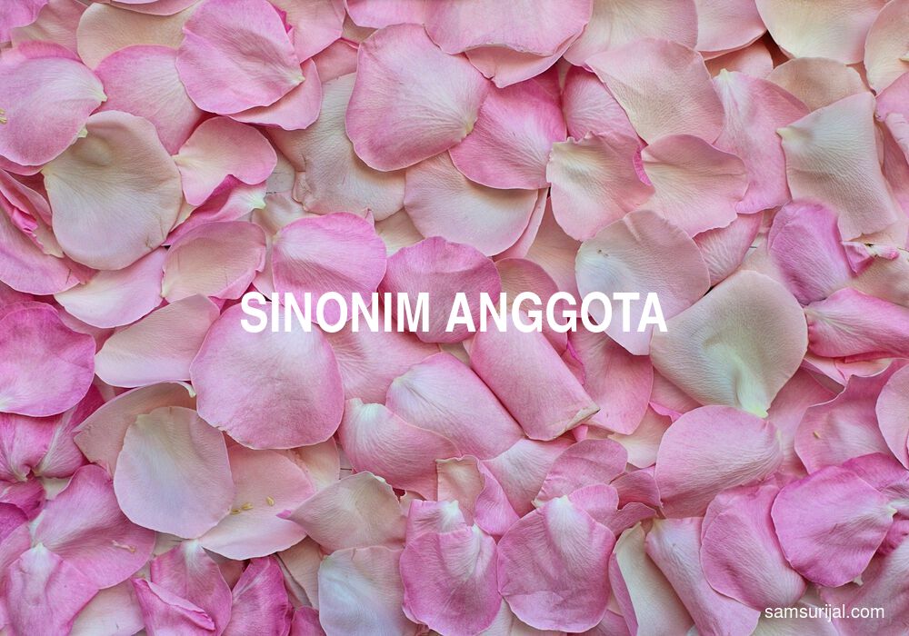 Sinonim Anggota