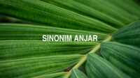 Sinonim Anjar