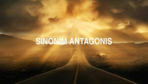 Sinonim Antagonis