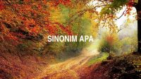 Sinonim Apa