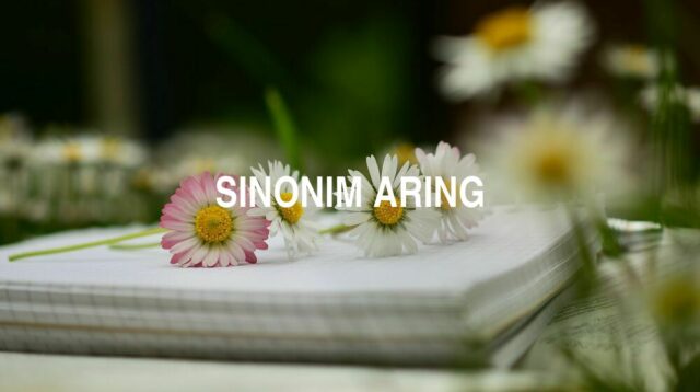 Sinonim Aring