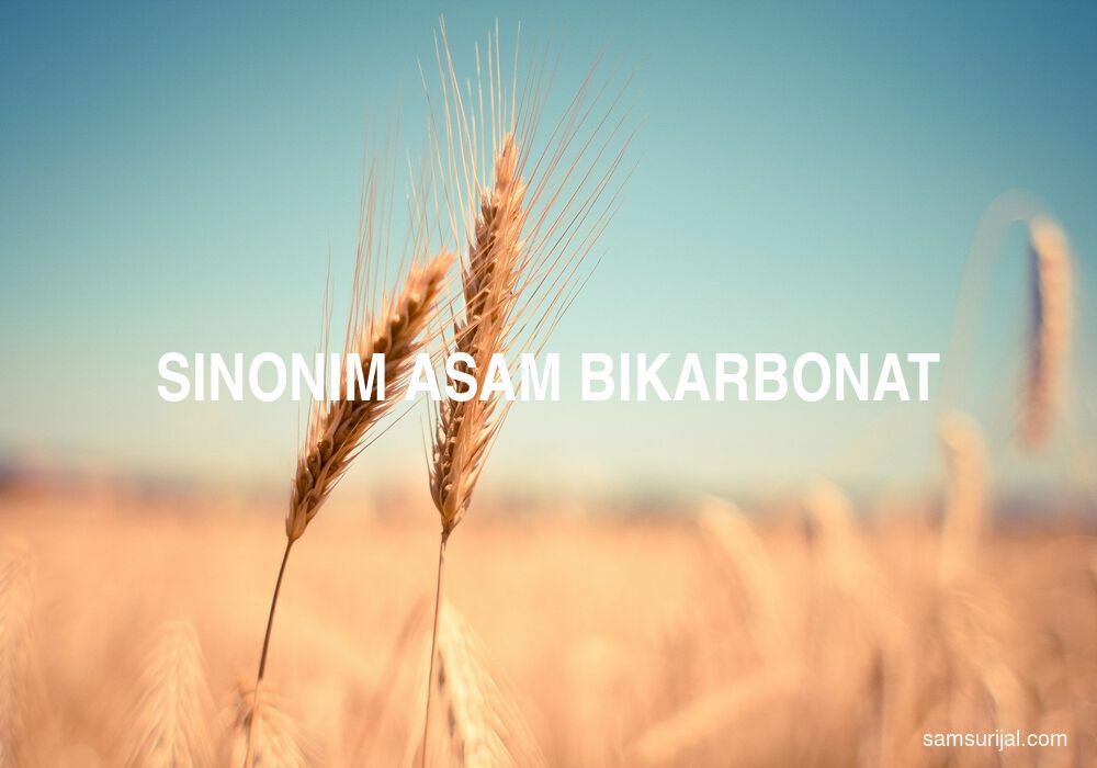 Sinonim Asam Bikarbonat