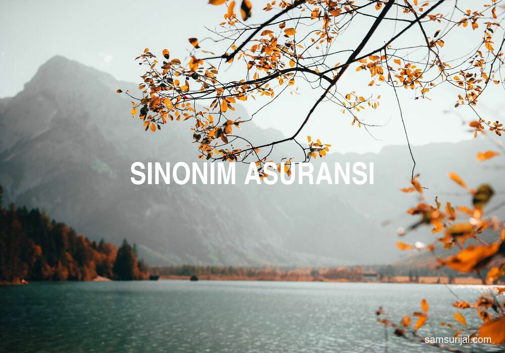 Sinonim Asuransi