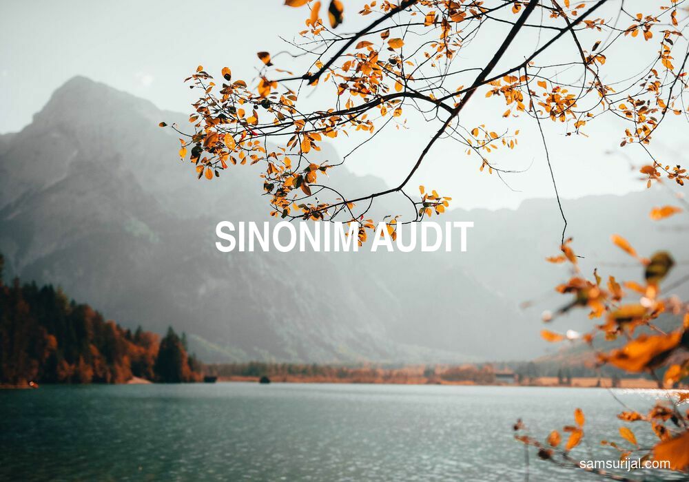 Sinonim Audit