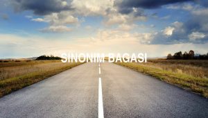 Sinonim Bagasi