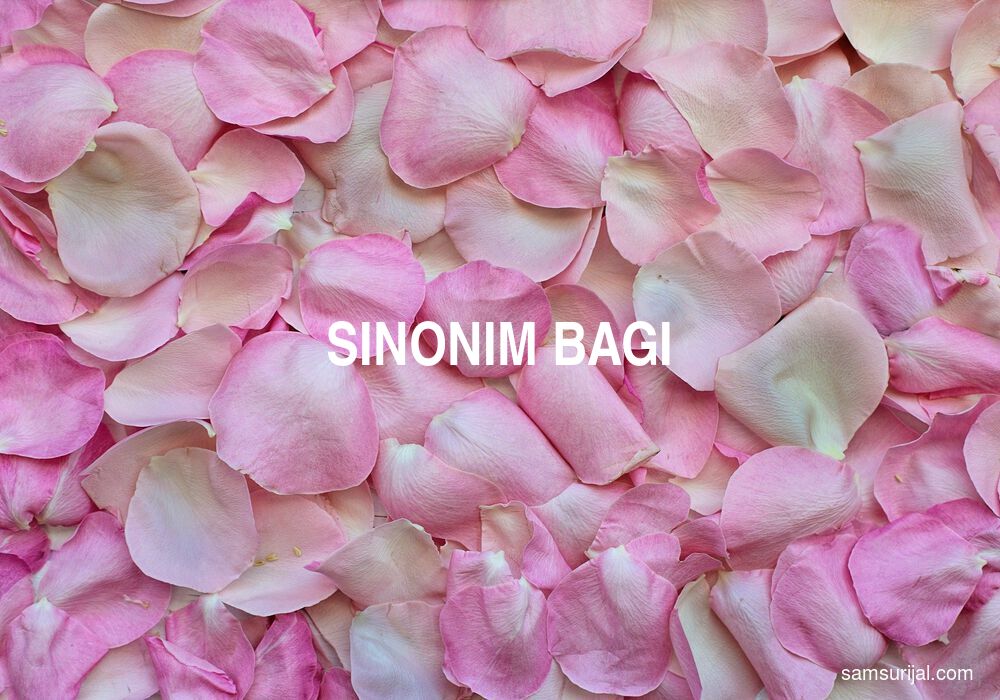 Sinonim Bagi