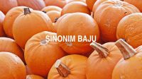 Sinonim Baju