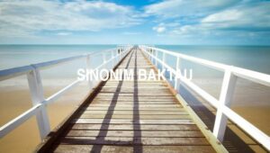 Sinonim Baktau