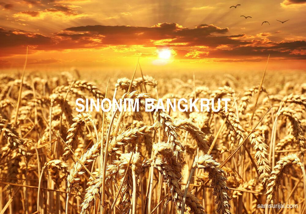 Sinonim Bangkrut