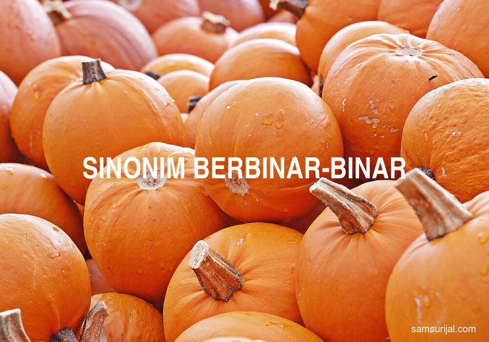 Sinonim Berbinar Binar