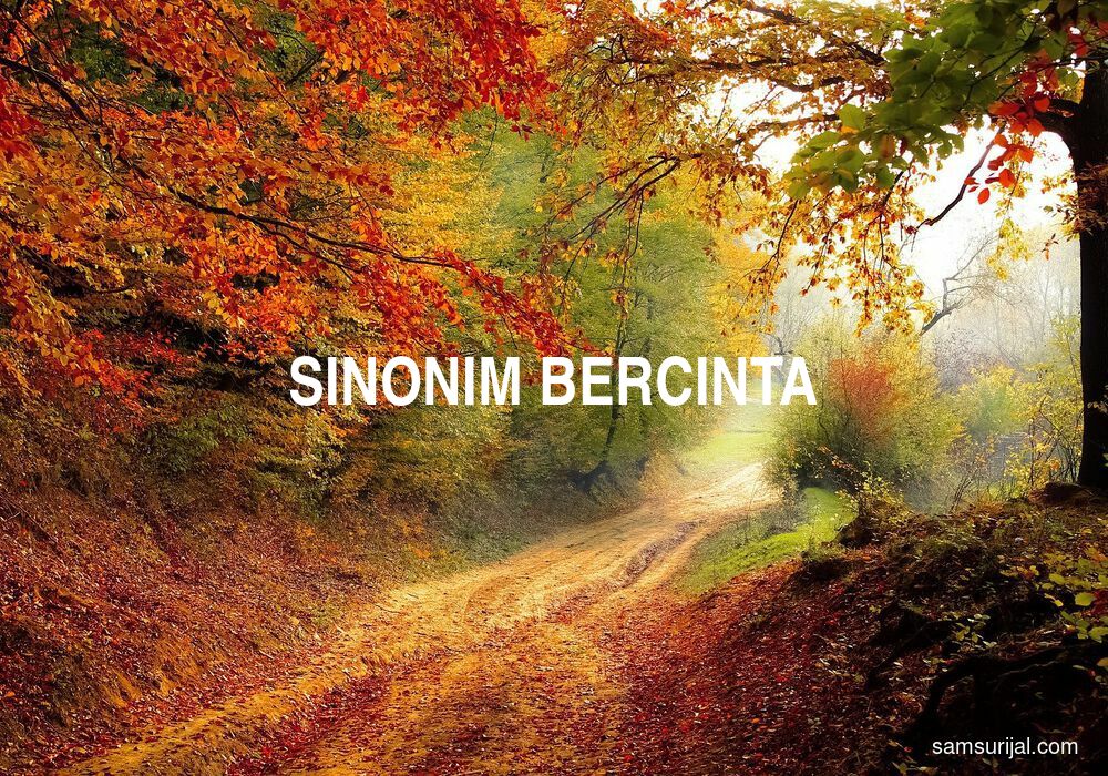 Sinonim Bercinta