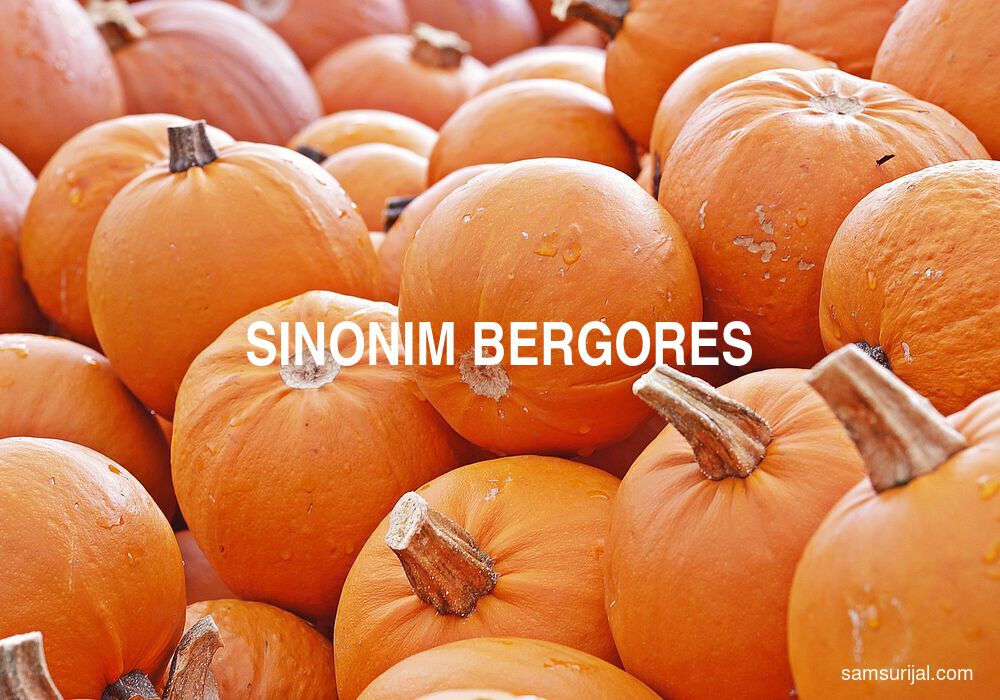 Sinonim Bergores