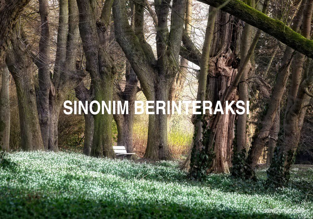 Sinonim Berinteraksi