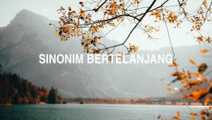 Sinonim Bertelanjang