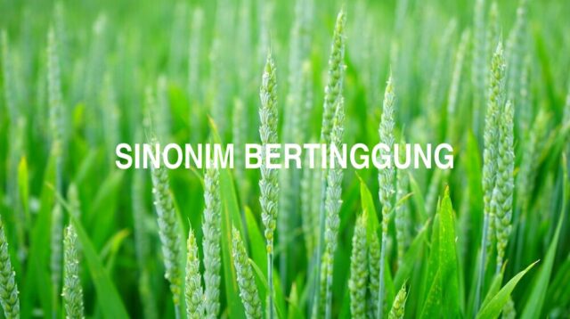 Sinonim Bertinggung