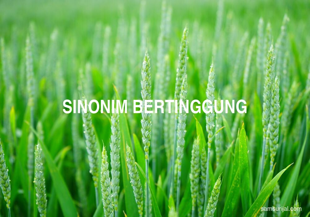 Sinonim Bertinggung