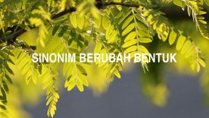 Sinonim Berubah Bentuk