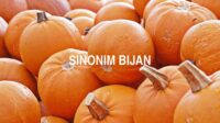 Sinonim Bijan