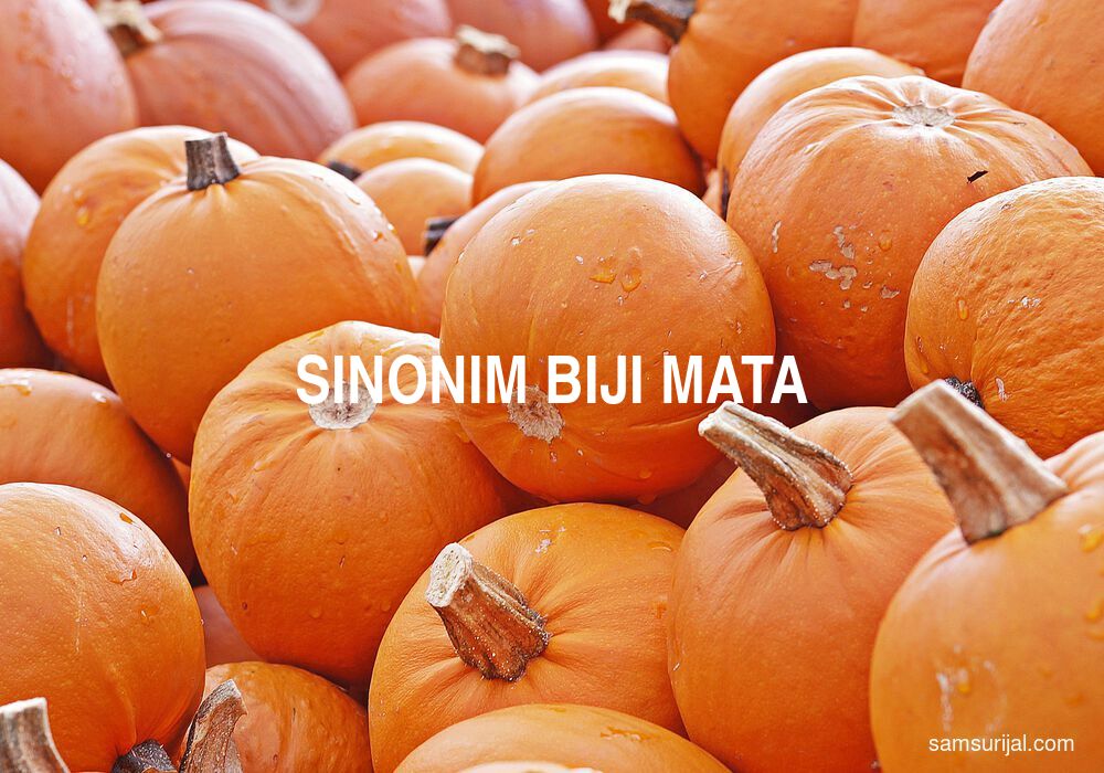 Sinonim Biji Mata