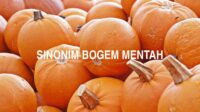 Sinonim Bogem Mentah